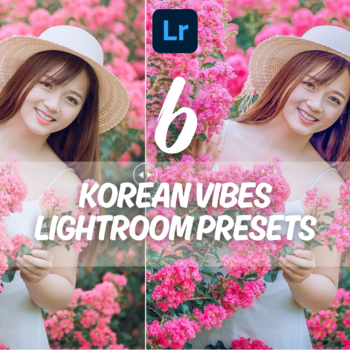 Free Korean Vibes Lightroom Presets