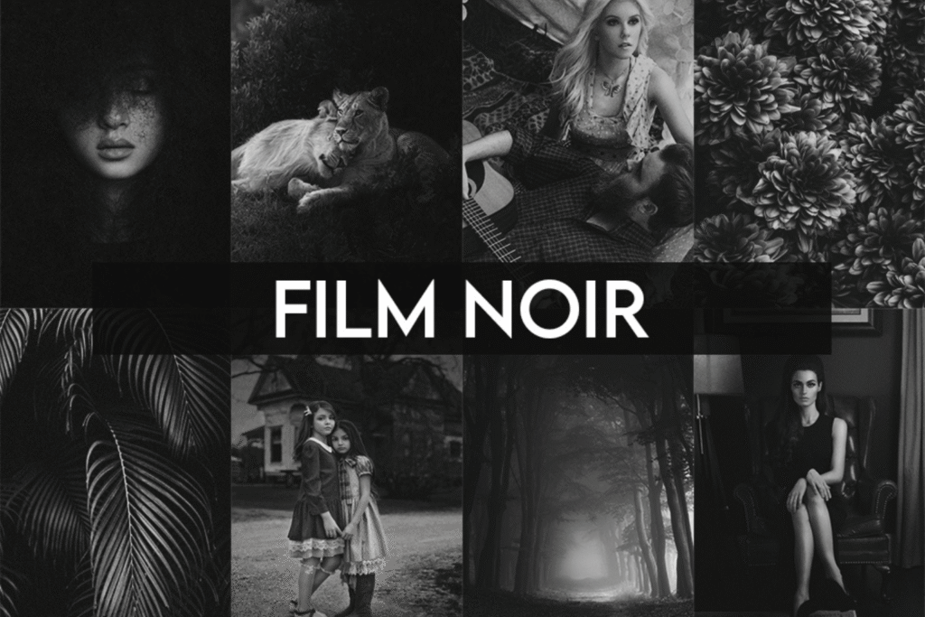 Top 10 Free Black and White Lightroom Presets for Stunning Photography